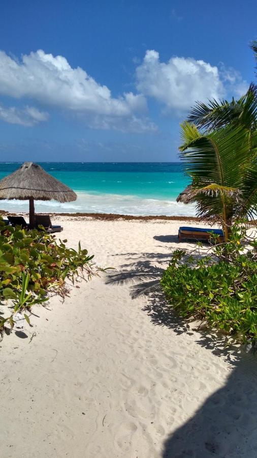 Hotel Sol Caribe Punta Allen Exteriér fotografie