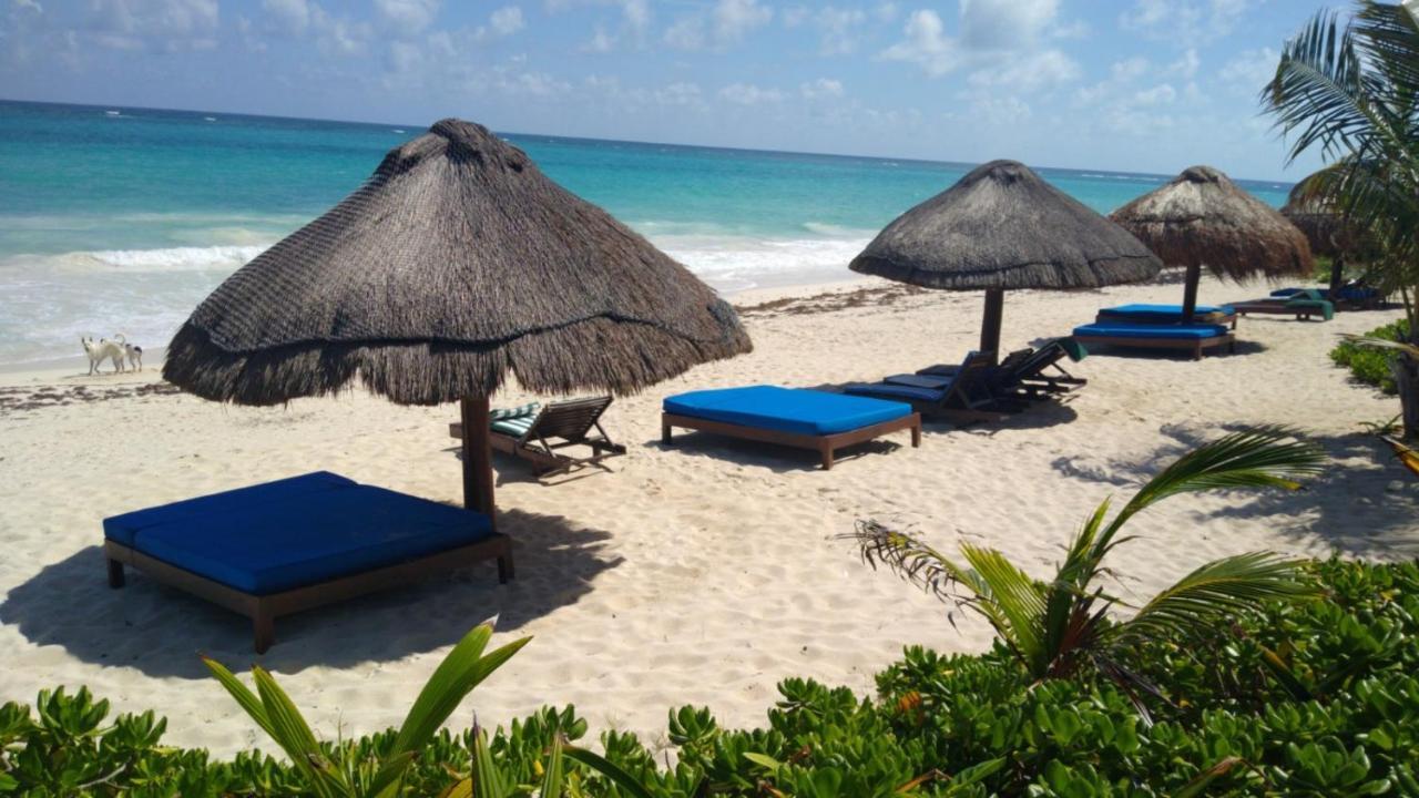 Hotel Sol Caribe Punta Allen Exteriér fotografie
