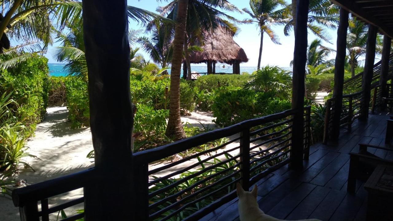 Hotel Sol Caribe Punta Allen Exteriér fotografie