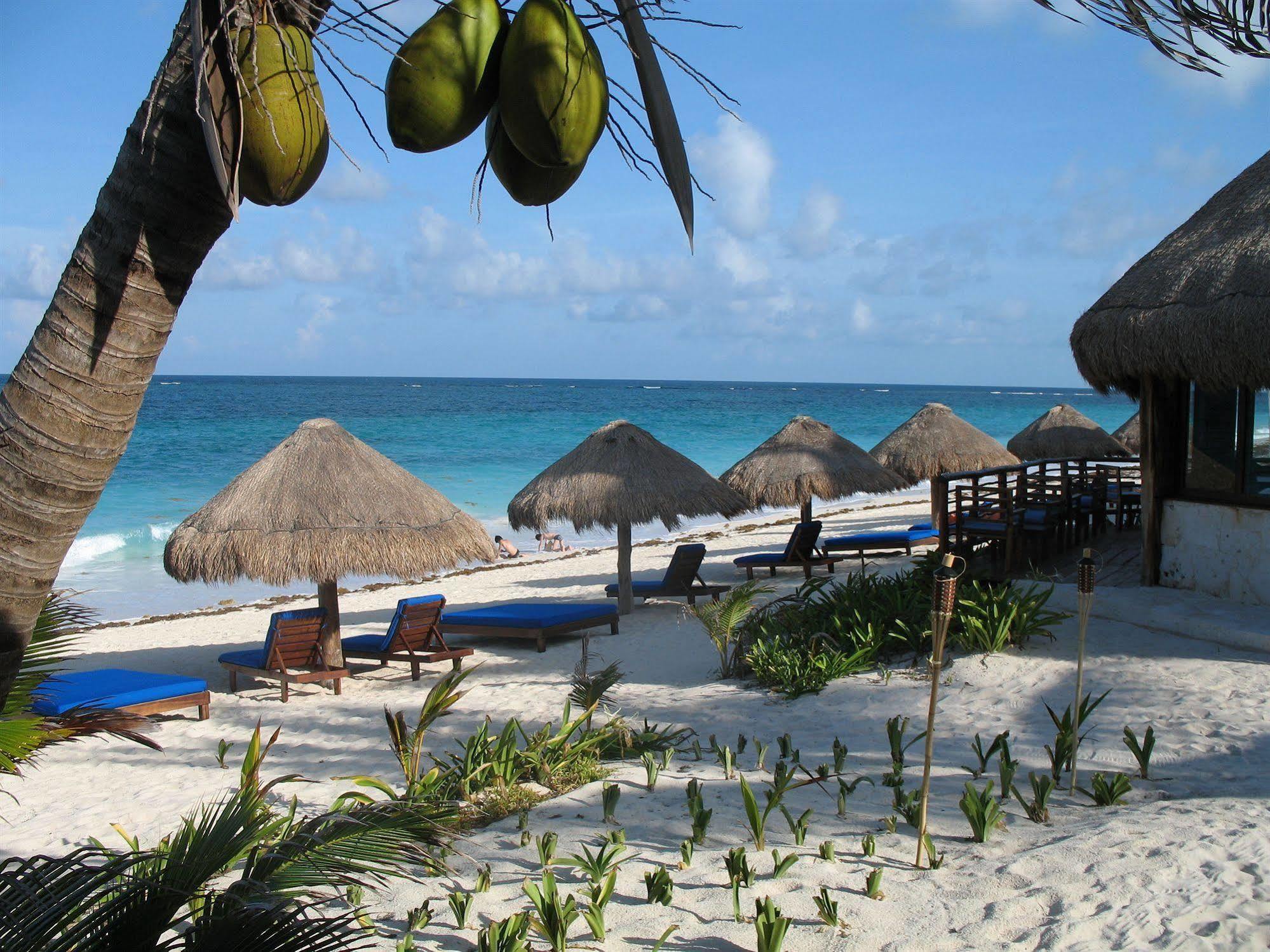 Hotel Sol Caribe Punta Allen Exteriér fotografie