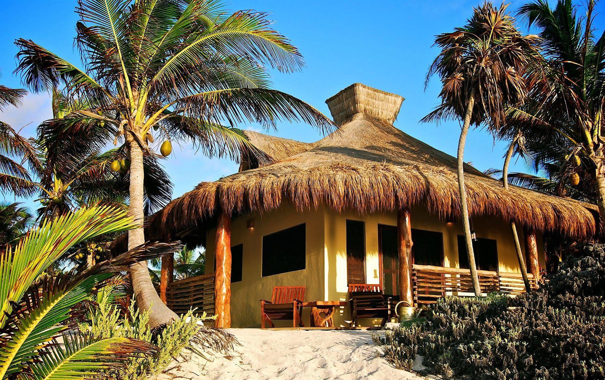 Hotel Sol Caribe Punta Allen Exteriér fotografie